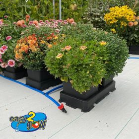 Easy2Grow Blumen