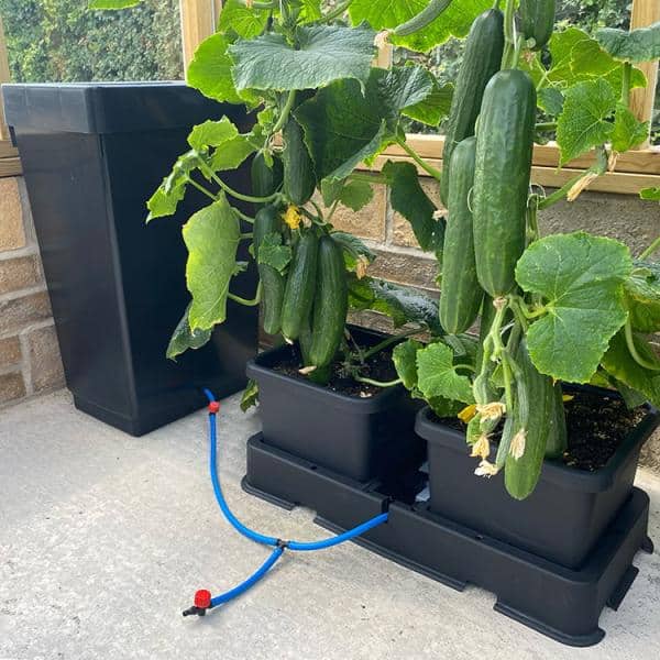 AutoPot_easy2Grow_gewachshaus