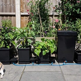 1Pot 9mm outdoor