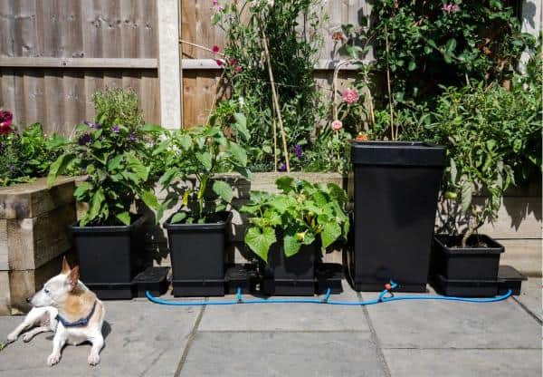 1Pot 9mm outdoor