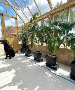 AutoPot 1Pot