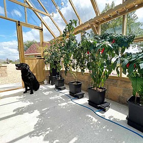AutoPot 1Pot