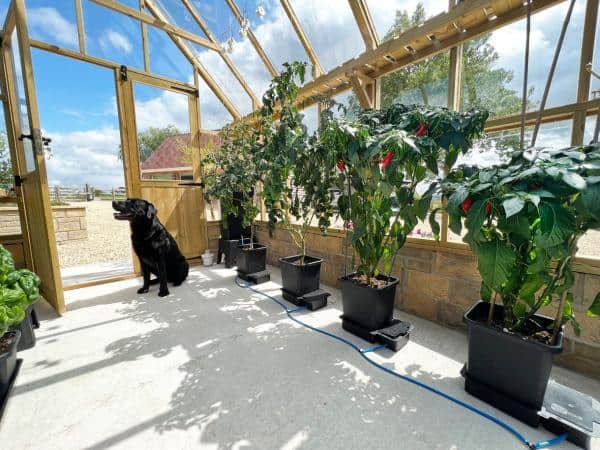 AutoPot 1Pot