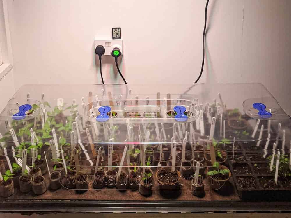 Easy2Propagate_5