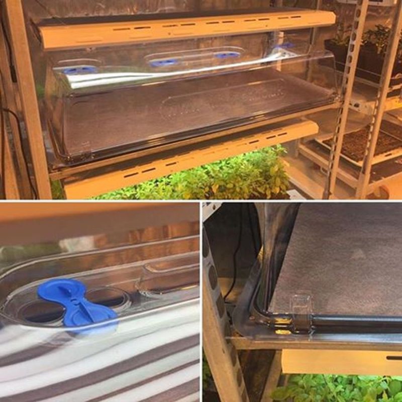 easy2propagate