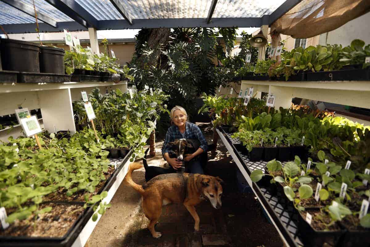 gardening_indoor_herbs