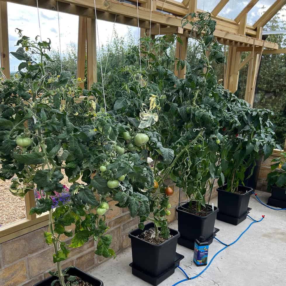 AutoPot 1Pot 60 potten systeem - Afbeelding 3