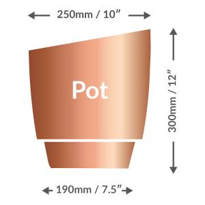 Copper pot illustration with labeled dimensions: top width 250 mm (10"), height 300 mm (12"), bottom width 190 mm (7.5"); the word 'Pot' centered on the body.