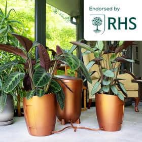 Indoor living area with three copper plant pots containing tropical foliage, visible through a glass wall; an RHS endorsement badge sits in the top-right corner.
