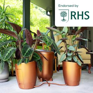Indoor living area with three copper plant pots containing tropical foliage, visible through a glass wall; an RHS endorsement badge sits in the top-right corner.