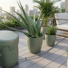 Rooftop patio with large green potted succulent, smaller herb-like pot, and modern seating against an urban skyline backdrop