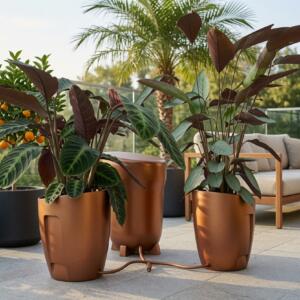 Outdoor patio with three copper pots connected by a watering hose, housing large tropical plants; seating area in background.