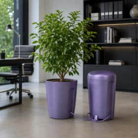 Office scene with a lush green plant in a purple pot and a matching purple connected device on the floor beside it, near a black desk and bookshelf.